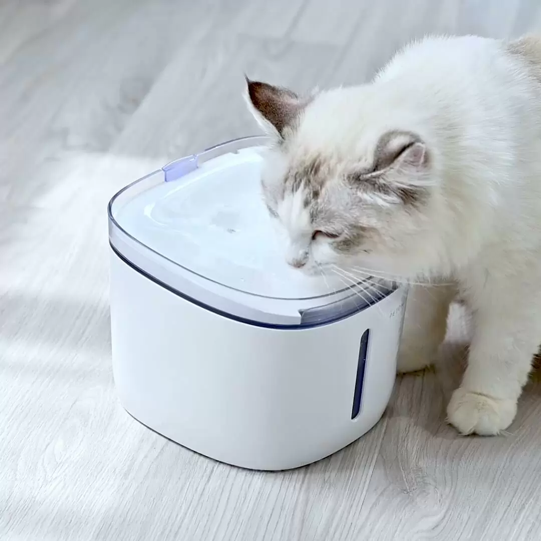 Дозатор воды для животных Kitten Puppy Water Dispenser