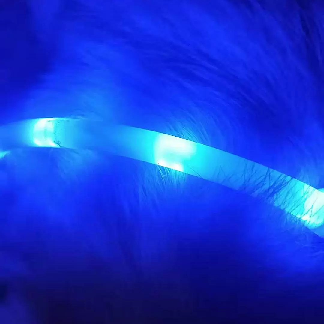 Ошейник светящийся Little Beast Star Pet Glowing Collar