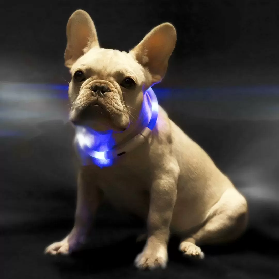 Ошейник светящийся Little Beast Star Pet Glowing Collar