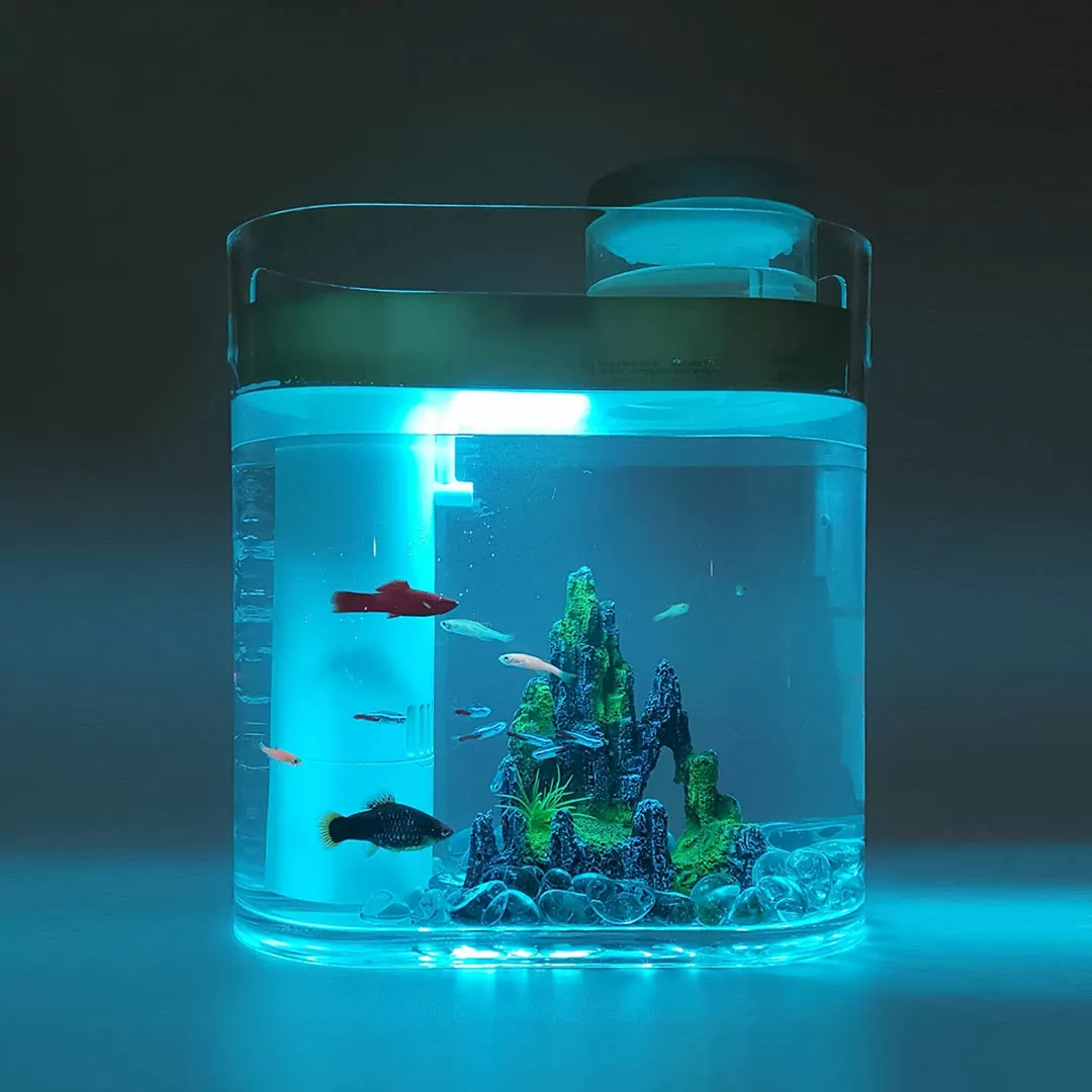 Аквариум Descriptive Geometry Amphibious Fish Tank